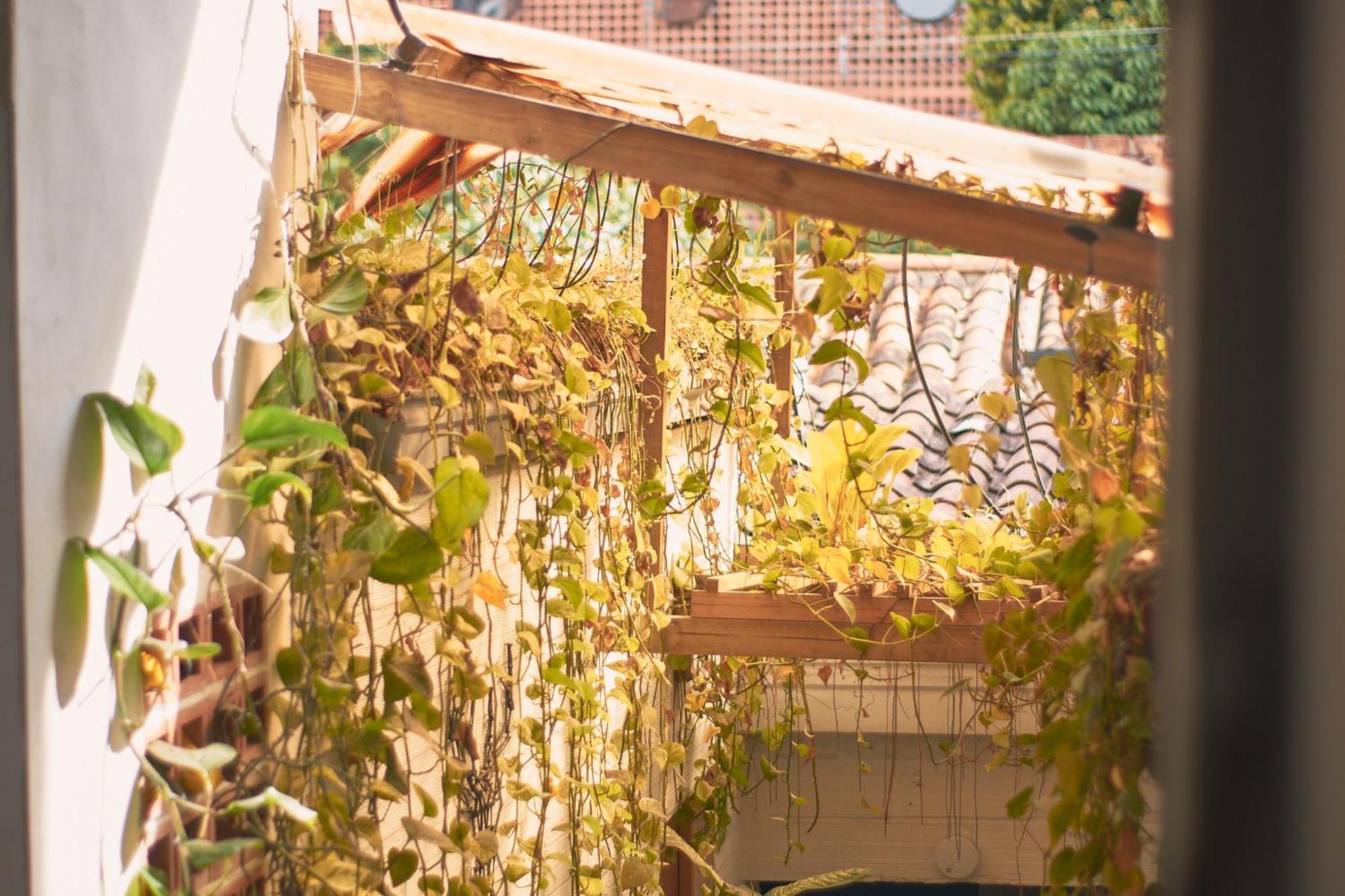 Hostal Casa Estacion Medellín Zewnętrze zdjęcie